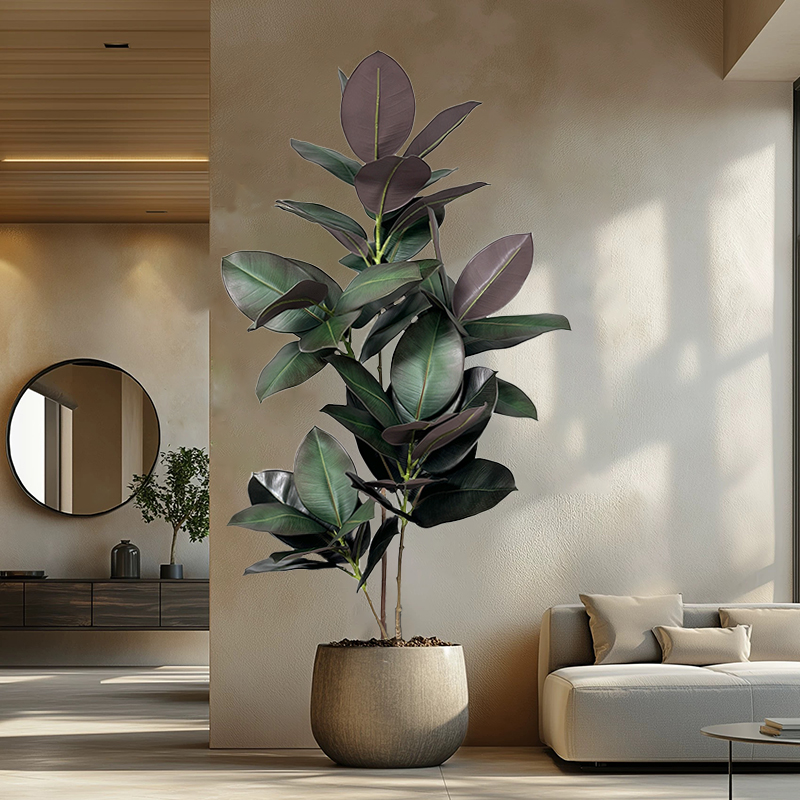 Arbre artificiel Ficus de 70-1 - Rubber Plant Ficus avis et prix