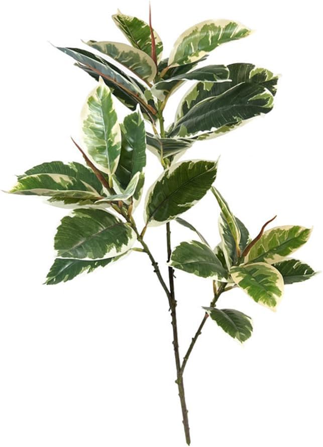 Ficus Tineke plante artificiel - Rubber Plant Ficus avis et prix