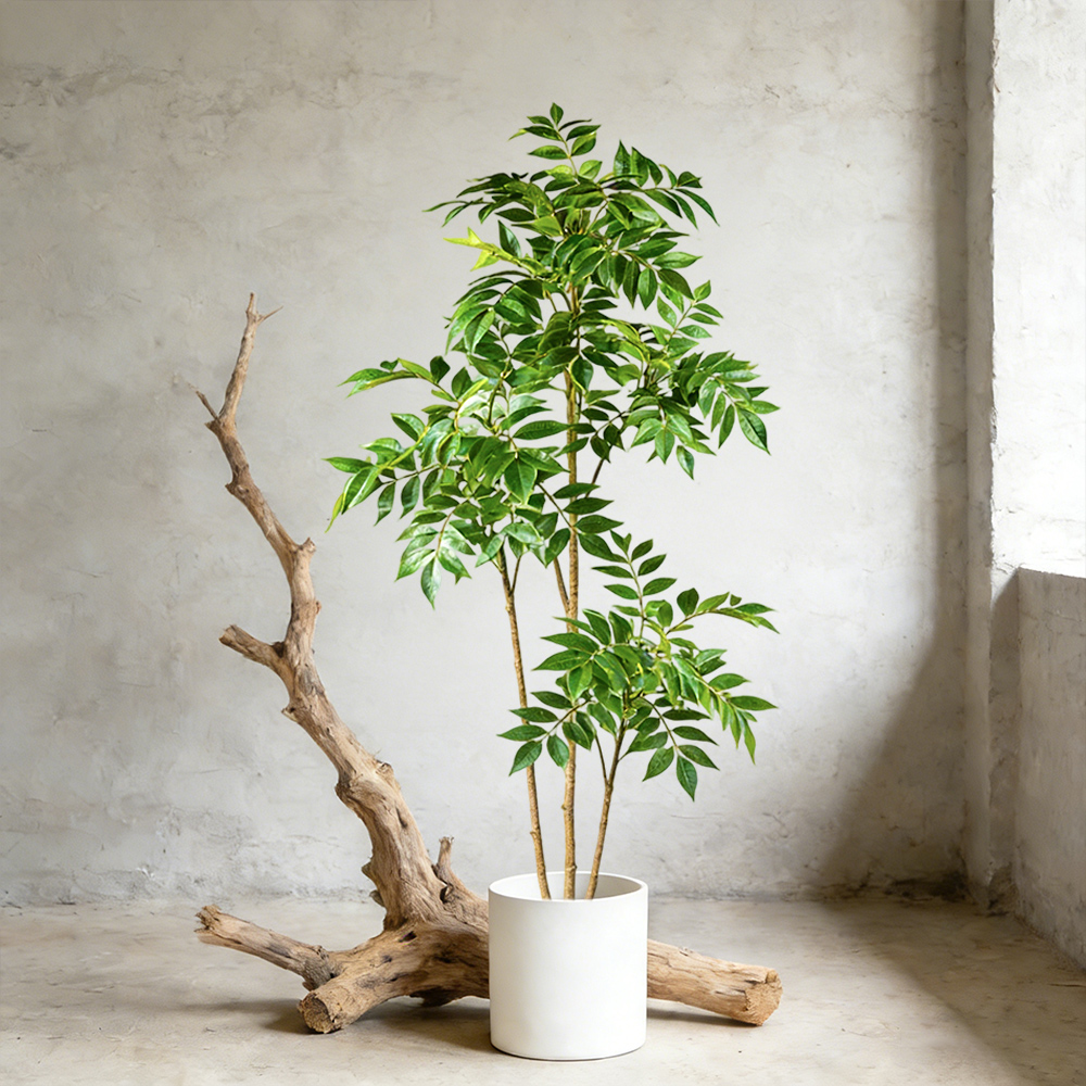 Arbre artificiel en caoutchouc - Rubber Plant Ficus avis et prix