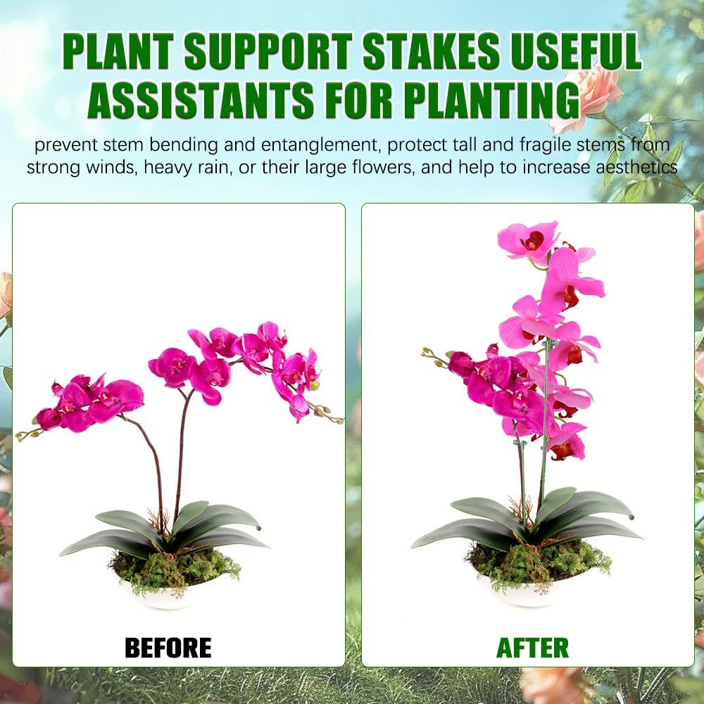 Supports pour plantes, papillo - Plant Parent Tools avis et prix