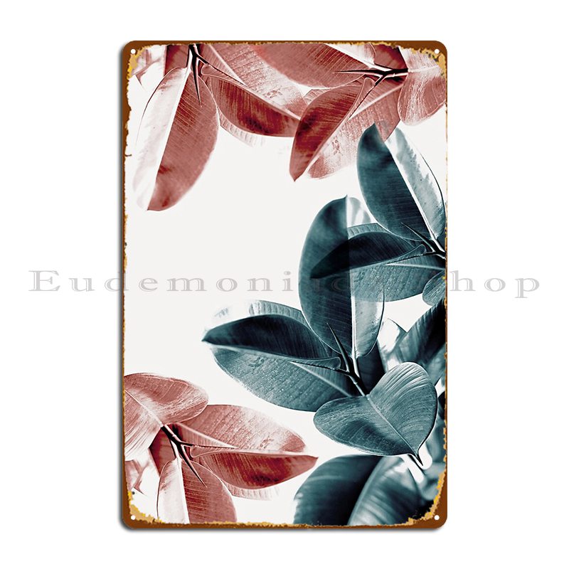Feuilles de plantes en caoutch - Rubber Plant Ficus avis et prix