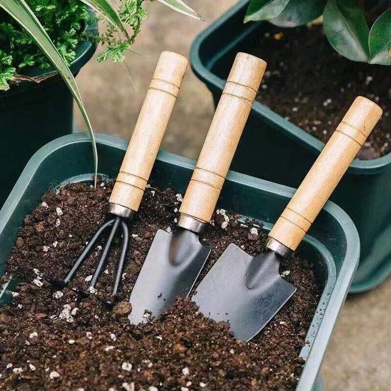 3 pièce/1 ensemble Mini ensemb - Plant Parent Tools avis et prix