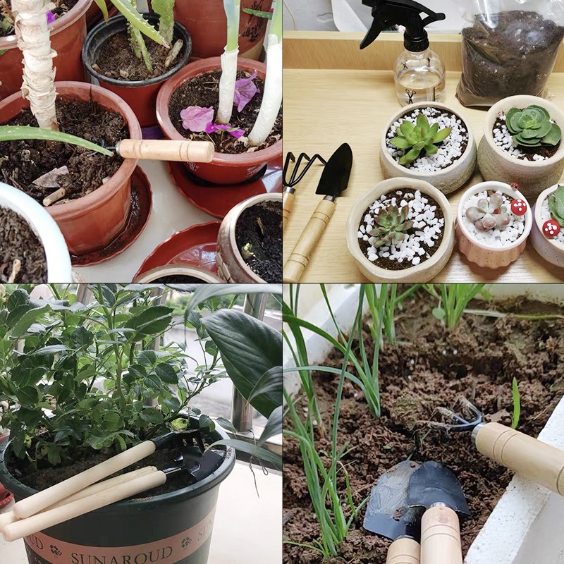 3 pièce/1 ensemble Mini ensemb - Plant Parent Tools avis et prix