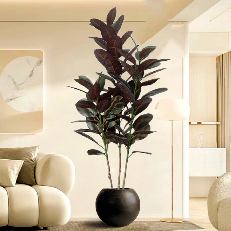 Grand Ficus en Caoutchouc Arti - Rubber Plant Ficus avis et prix