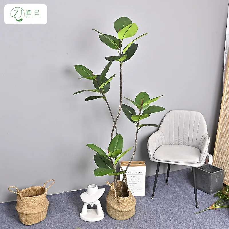 Plante artificielle en caoutch - Rubber Plant Ficus avis et prix