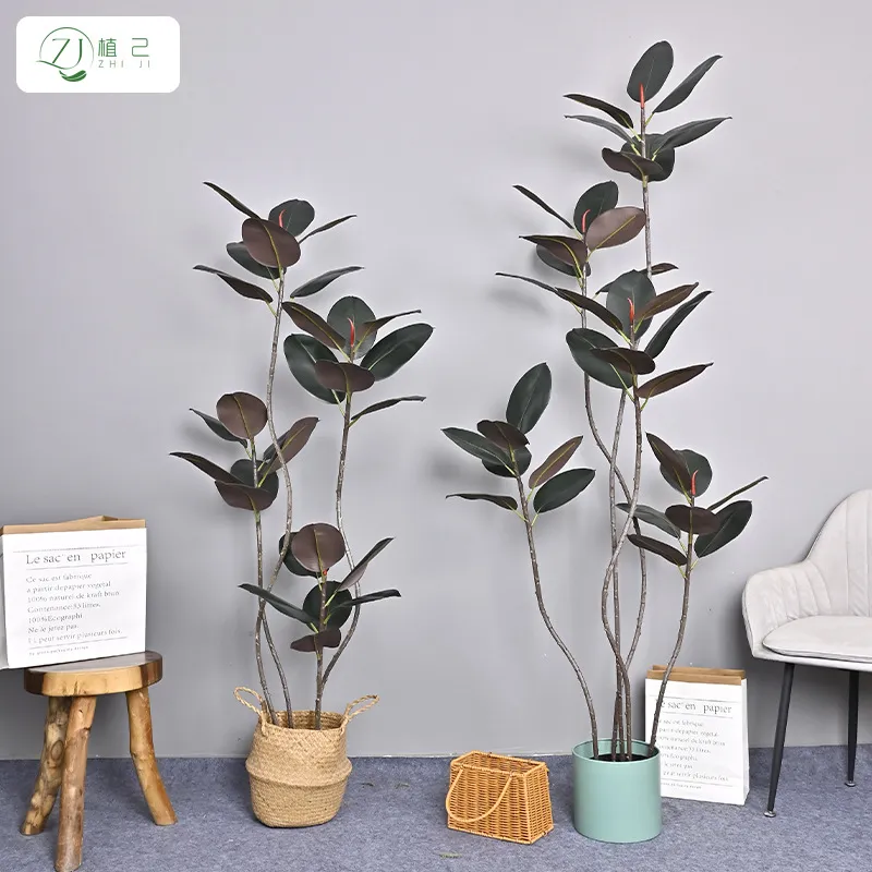 Plante artificielle en caoutch - Rubber Plant Ficus avis et prix