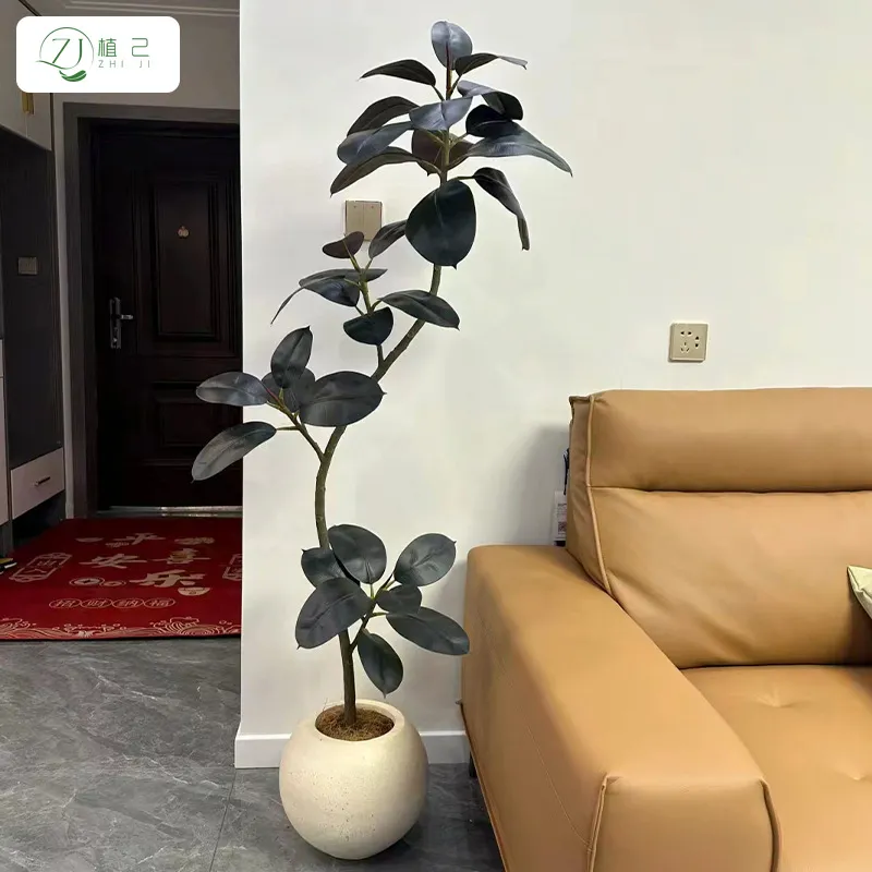 Plante artificielle en caoutch - Rubber Plant Ficus avis et prix
