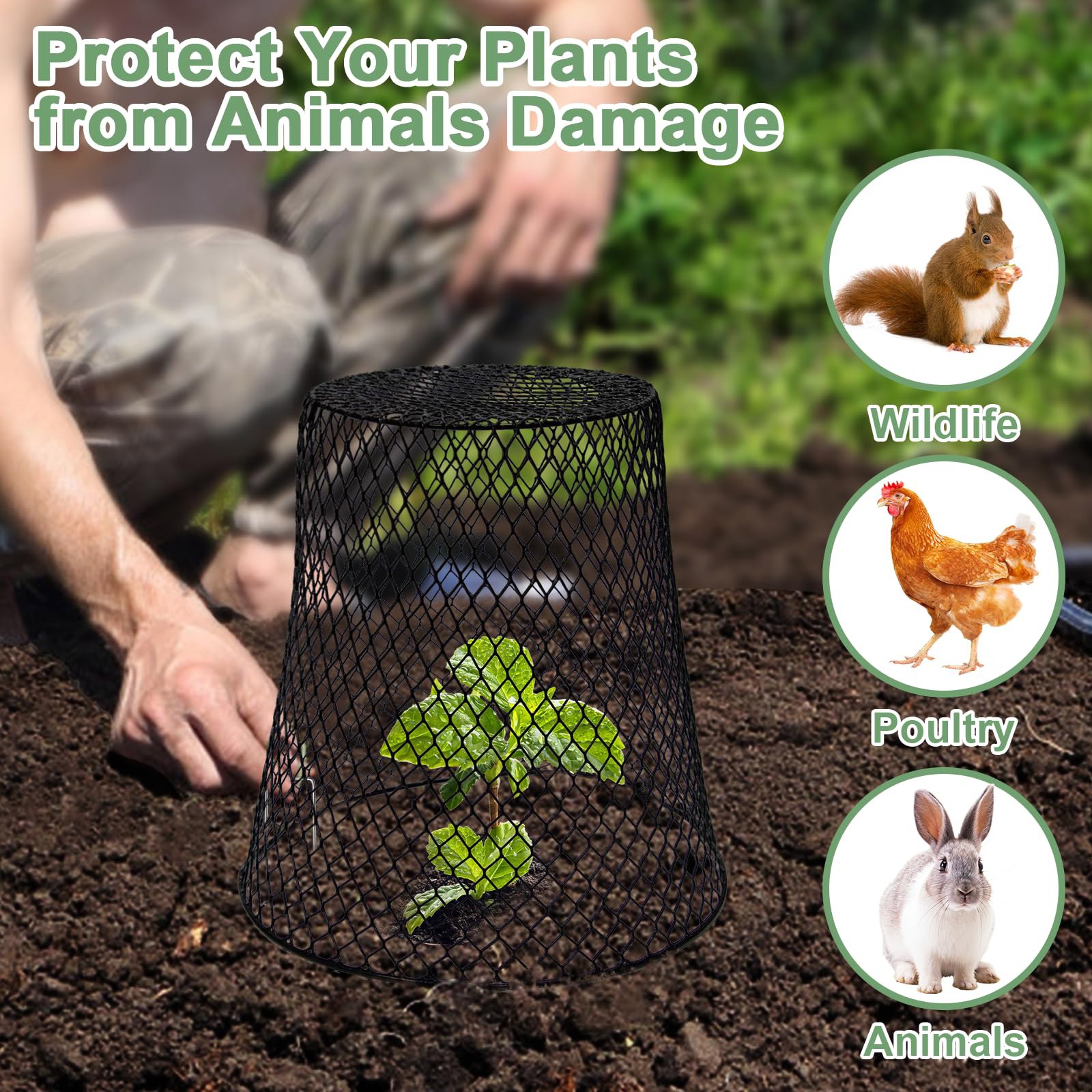 Cloche en grillage pour plante - Plant Parent Tools avis et prix