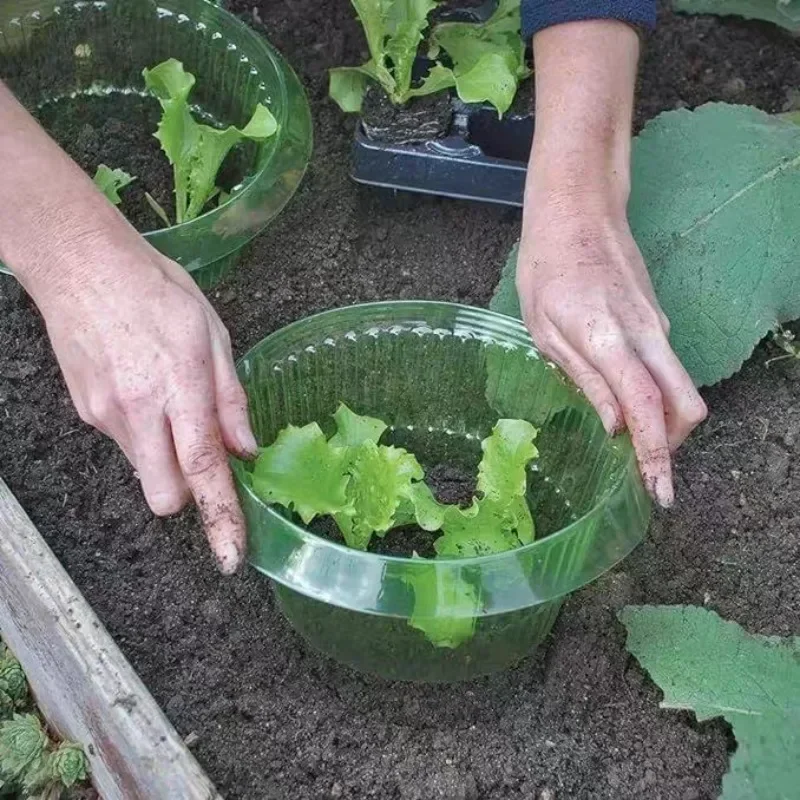 Plantes limace Protection anne - Plant Parent Tools avis et prix