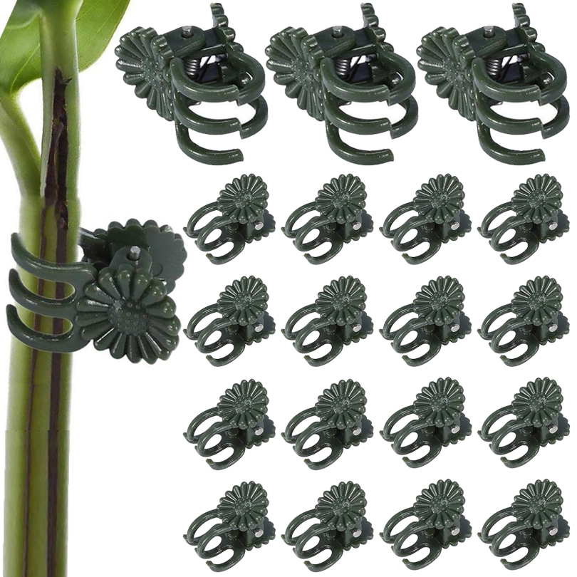 Pinces à Plantes de Vigne, Sup - Plant Parent Tools avis et prix