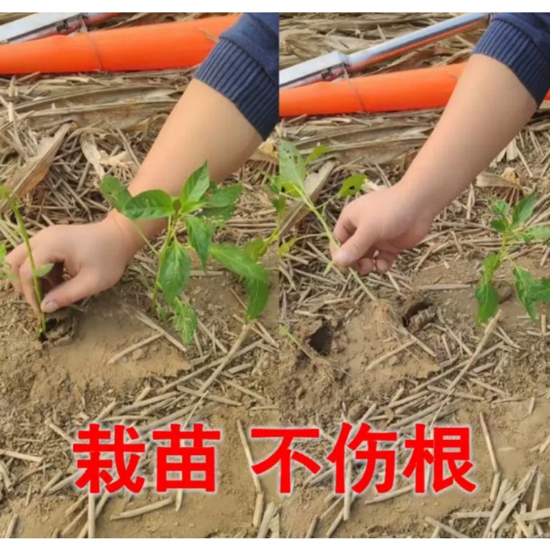 Transplanteur de semis agricol - Plant Parent Tools avis et prix
