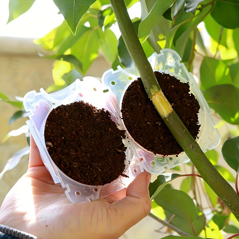 Kit de 10 pièces pour la propa - Plant Parent Tools avis et prix